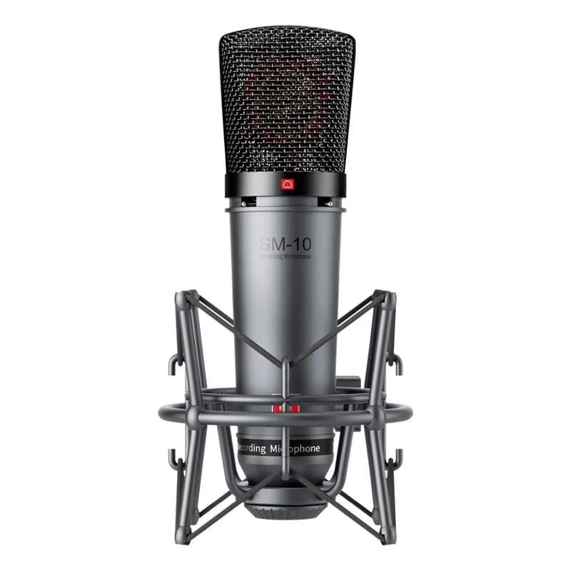 ميكروفون احترافي لتسجيل الصوت والبودكاست Takstar SM-10 view 2