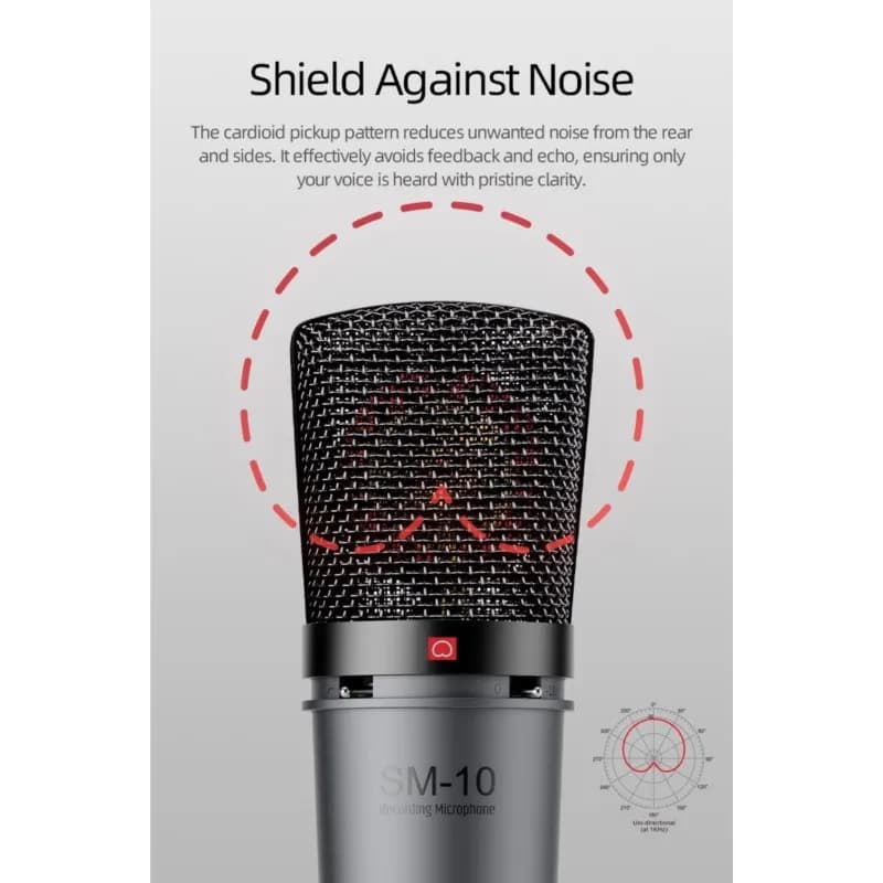 ميكروفون احترافي لتسجيل الصوت والبودكاست Takstar SM-10 view 4